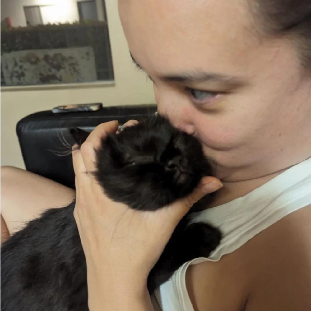 MEET FELIX 🐈⬛ - Picture 3 of 12
